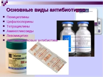 Чому не можна пити алкоголь з антибіотиками (пити) Чому не можна пити алкоголь з антибіотиками