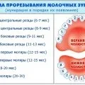 Чому у дитини закисают очі, і як е тім боротися, розвиток малюка (чому) Чому у дитини закисают очі, і як е тім боротися, розвиток малюка