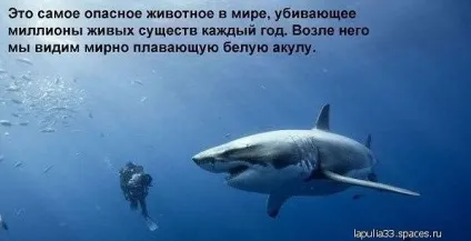 Чому хвалитися погано