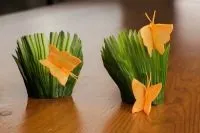 Вироби з огірків для дитячого саду (вироби) Вироби з огірків для дитячого садка