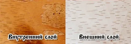 Вироби своїми руками з кори дерева властивості і правила заготівлі кори (дерева) Вироби своїми руками з кори дерева властивості і правила заготівлі кори