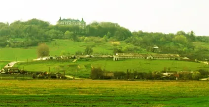 Підгорецький замок