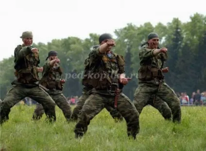 Подарунок до дня повітряно-десантних військ ВДВ своїми руками (подарунок) Подарунок до дня повітряно-десантних військ ВДВ своїми руками