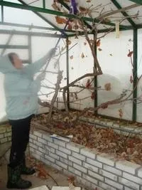 Підготовка теплиць до весни 1