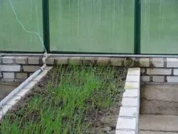 Підготовка теплиць до весни 1