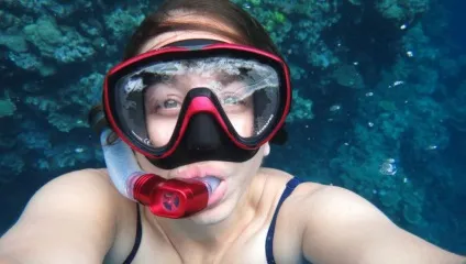 Підводний світ червоного моря