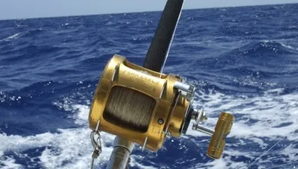 Підводний світ червоного моря