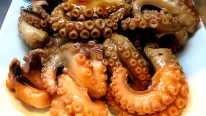 Підводний світ червоного моря