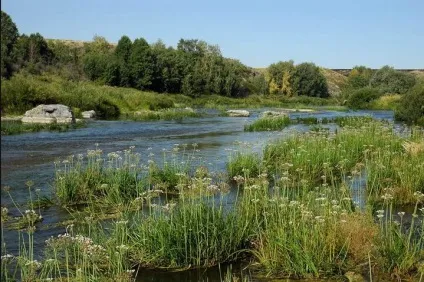 Підуст особливості лову