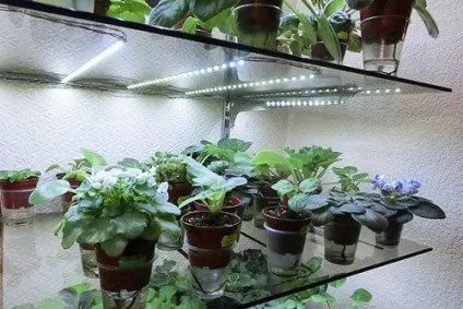 Підсвічування скляних полиць світлодіодною стрічкою своїми руками 1 (підсвічування) Підсвічування скляних полиць світлодіодною стрічкою своїми руками 1