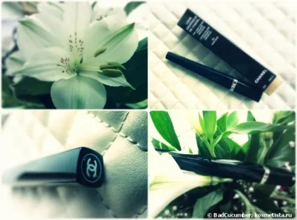 Підводка для очей chanel ligne graphique de chanel 10 noir-noir або як вибрати гідного товариша (ligne) Підводка для очей chanel ligne graphique de chanel 10 noir-noir або як вибрати гідного товариша