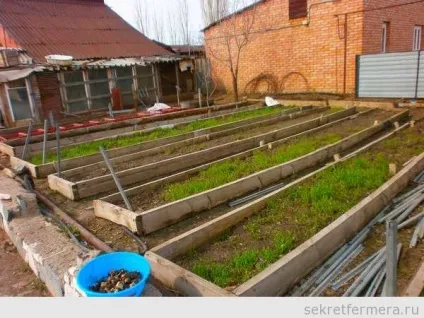 Підготовка ґрунту під посадку помідорів (томатів) (один квадратний метр) Підготовка ґрунту під посадку помідорів (томатів)