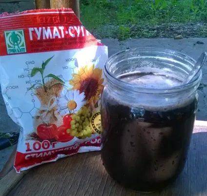 Підживлення томатів препаратом гумат супер