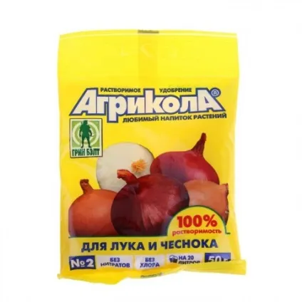 Підживлення цибулі на перо