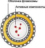 Корисна інформація 2