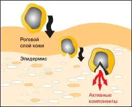 Корисна інформація 2