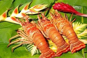 Корисні продукти для щитовидної залози (корисні продукти для щитовидної залози) Корисні продукти для щитовидної залози