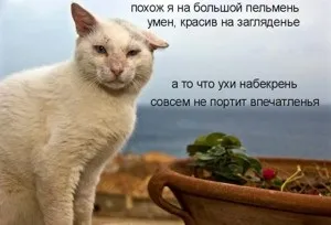 Повні і короткі прикметники (числа приєднується закінчення) Повні і короткі прикметники