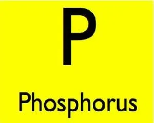 Корисні властивості фосфору (фосфору) Корисні властивості фосфору