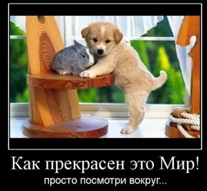 Повні і короткі прикметники (прикметники) Повні і короткі прикметники
