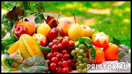 Корисні продукти для шлунка і кишечника - список, опис (кишечника) Корисні продукти для шлунка і кишечника - список, опис