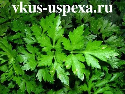 Корисні і шкідливі властивості зелені (корисні) Корисні і шкідливі властивості зелені