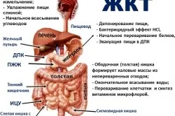 Пронос при прорізуванні зубів симптоми і лікування (ентерологіі будинку) Пронос при прорізуванні зубів симптоми і лікування