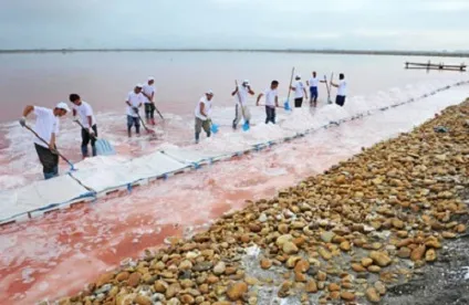 Користь морської солі застосування і наслідки (застосування) Користь морської солі застосування і наслідки
