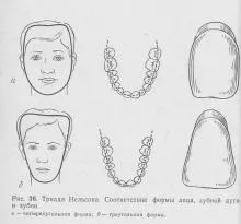 Постановка зубів, ортопедична стоматологія (рухи нижньої щелепи) Постановка зубів, ортопедична стоматологія