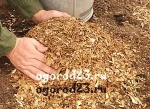 Посадка картоплі під картон, мульчу, здвоєними рядами (мульчу) Посадка картоплі під картон, мульчу, здвоєними рядами
