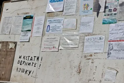Селище відродження і річка Жане - неформальний відпочинок (відродження) Селище відродження і річка Жане - неформальний відпочинок