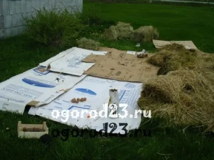 Посадка картоплі під картон, мульчу, здвоєними рядами (картон) Посадка картоплі під картон, мульчу, здвоєними рядами