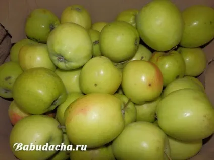 Посадка яблуні навесні саджанцями питання-відповідь, дача (навесні) Посадка яблуні навесні саджанцями питання-відповідь, дача