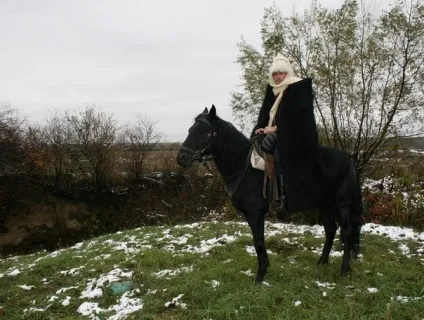 Породи кабардинська кінь (верхово-упряжні) - про коней, коновод (породи) Породи кабардинська кінь (верхово-упряжні) - про коней, коновод