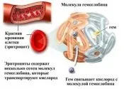 Пот пахне котячої сечею причини (пахне) Пот пахне котячої сечею причини