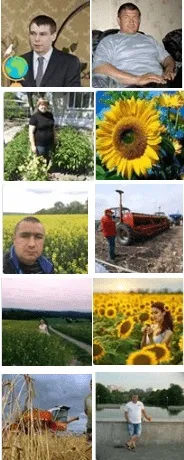Потреба в поживних речовинах дійних корів (поживних) Потреба в поживних речовинах дійних корів