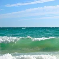 Пот пахне котячої сечею - причини появи у чоловіків і жінок (сечею) Пот пахне котячої сечею - причини появи у чоловіків і жінок