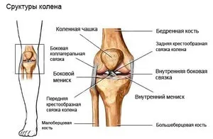 Пошкодження меніска колінного суглоба особливості патології, симптоми і методи лікування (особливо) Пошкодження меніска колінного суглоба особливості патології, симптоми і методи лікування