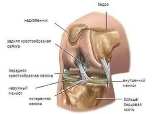 Пошкодження меніска колінного суглоба особливості патології, симптоми і методи лікування (особливо) Пошкодження меніска колінного суглоба особливості патології, симптоми і методи лікування
