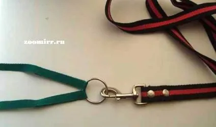 Повідець відразу для двох собак своїми руками, мої собаки (двох) Повідець відразу для двох собак своїми руками, мої собаки