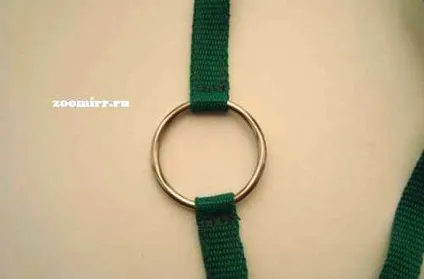 Повідець відразу для двох собак своїми руками, мої собаки (відразу) Повідець відразу для двох собак своїми руками, мої собаки