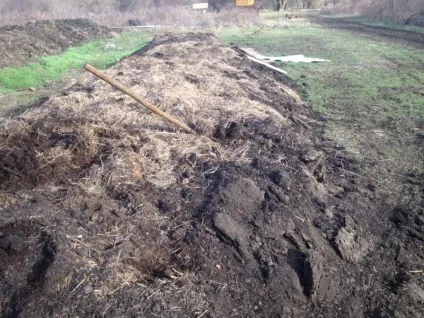 Потреба в поживних речовинах дійних корів (потреба) Потреба в поживних речовинах дійних корів