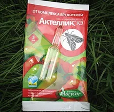 Препарати і народні засоби від павутинного кліща (павутинного) Препарати і народні засоби від павутинного кліща