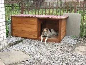 Правильна теплоізоляція буди як утеплити будку для собаки на зиму