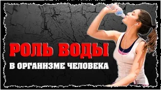 Правильне харчування при тренуваннях в тренажерному залі (правильне) Правильне харчування при тренуваннях в тренажерному залі