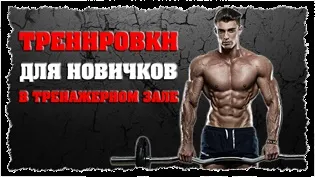 Правильне харчування при тренуваннях в тренажерному залі (залі) Правильне харчування при тренуваннях в тренажерному залі