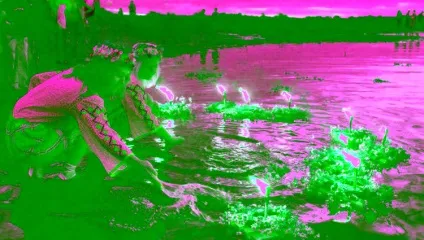 Свято Івана купала ворожіння, традиції і прикмети (традиції) Свято Івана купала ворожіння, традиції і прикмети