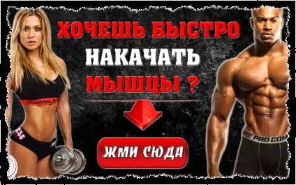Правильне харчування при тренуваннях в тренажерному залі (харчування) Правильне харчування при тренуваннях в тренажерному залі