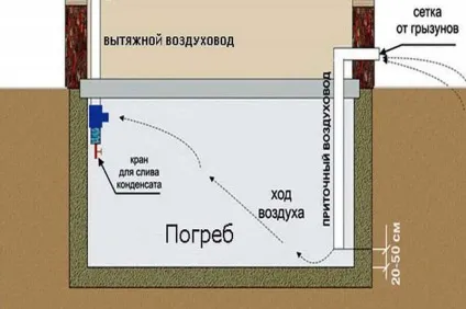 Правильна гідроізоляція льоху