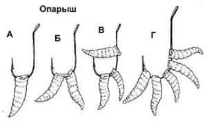 Опариш - секрети успішної риболовлі (опариш) Опариш - секрети успішної риболовлі